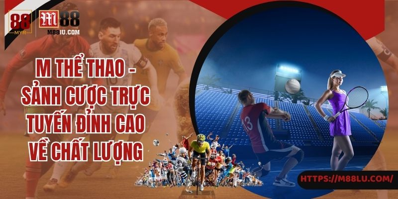 M Thể Thao - Sảnh Cược Trực Tuyến Đỉnh Cao Về Chất Lượng