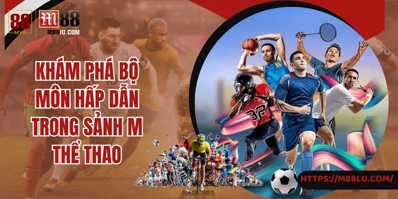 Khám phá bộ môn hấp dẫn trong sảnh M thể thao