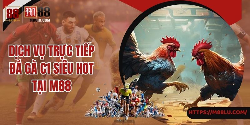 Dịch vụ trực tiếp đá gà C1 siêu hot tại M88